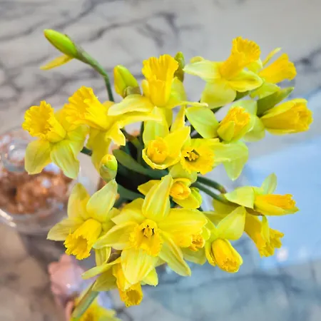 Apartament Jastrzebia Gora Lägenhet *