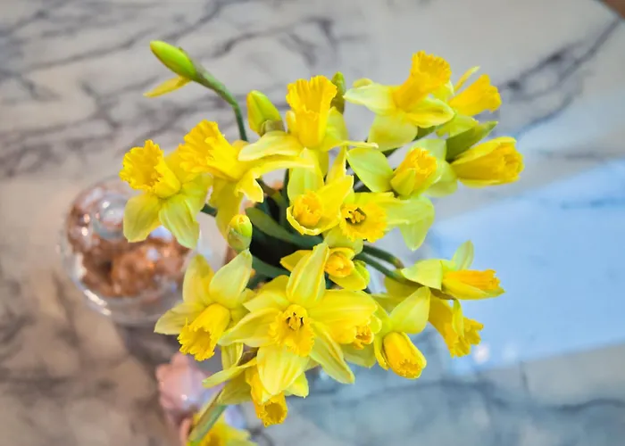 Apartament Jastrzebia Gora شقة *